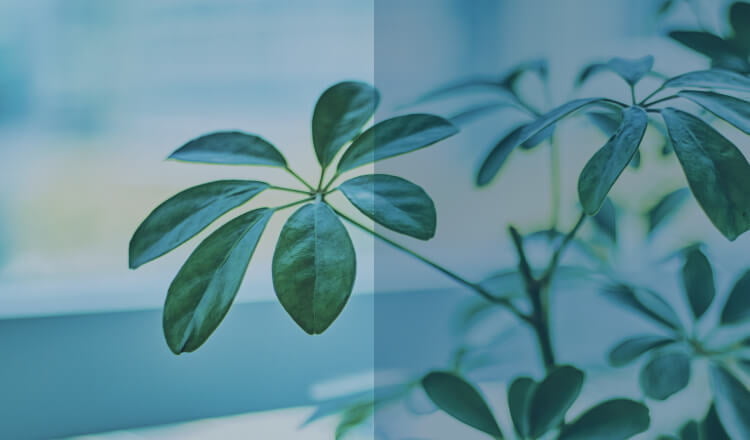 情報セキュリティ方針